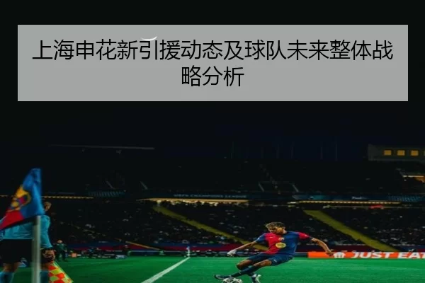 上海申花新引援动态及球队未来整体战略分析